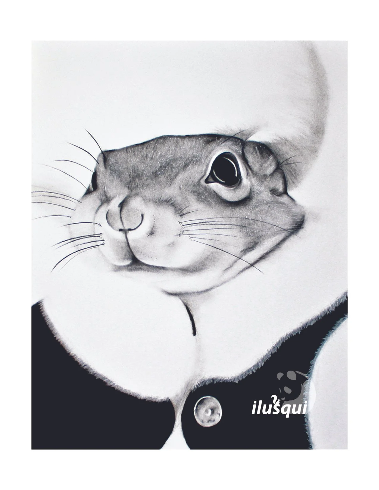 Squirrel Series — ILUSQUI - Whimsical Wonder